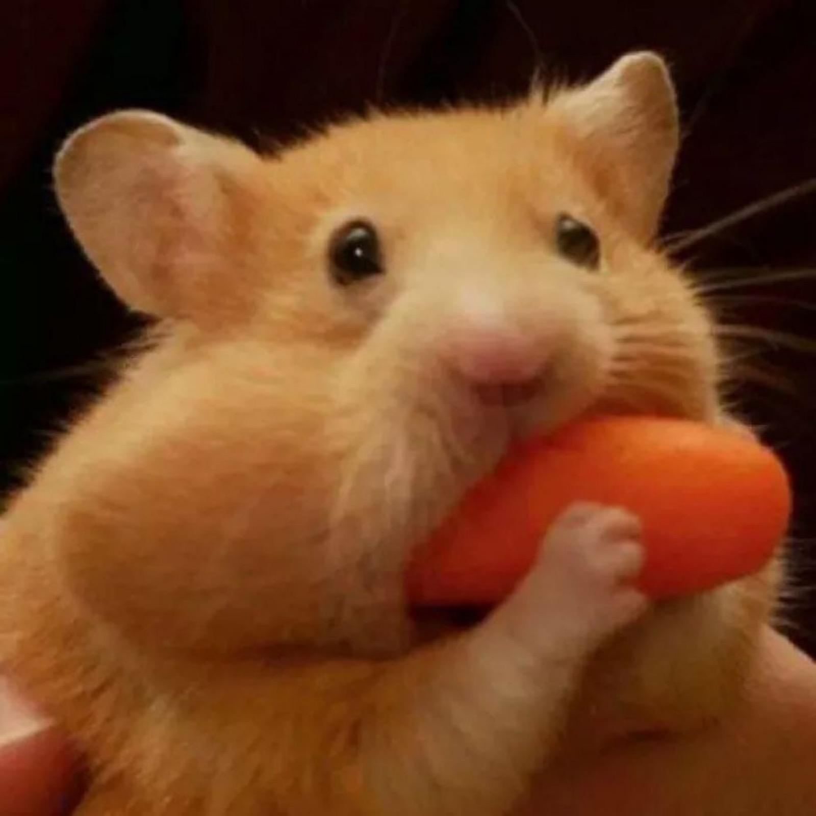 阿痕OverTheRainbow